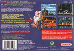Scan of Donkey Kong Country 2: Diddy