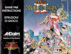 Scan of Double Dragon II: The Revenge