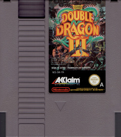 Scan of Double Dragon III: The Sacred Stones