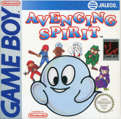 Avenging Spirit for the Nintendo Game Boy Front Cover Box Scan