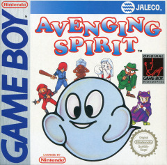 Scan of Avenging Spirit