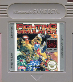 Scan of Fighting Simulator: 2 in 1: Flying Warriors