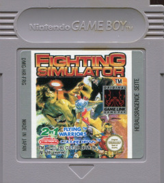 Scan of Fighting Simulator: 2 in 1: Flying Warriors