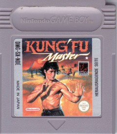 Scan of Kung Fu Master