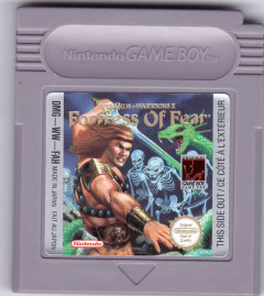 Scan of Wizards & Warriors X: Fortress of Fear