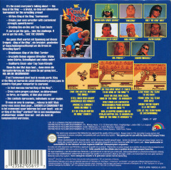 Scan of WWF King of the Ring