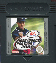 Scan of Tiger Woods PGA Tour 2000