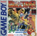 Fighting Simulator: 2 in 1: Flying Warriors (Nintendo Game Boy)